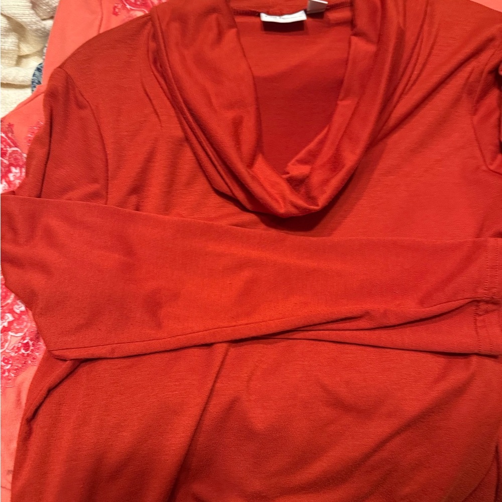 Kim Rogers Bold rust Cowl Neck Sweater